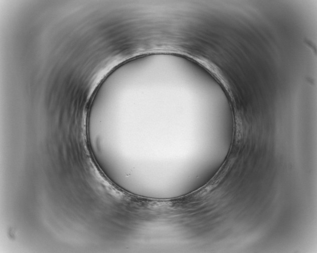 X0000102271006200808151900