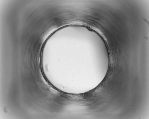 X0000102271007200808151900