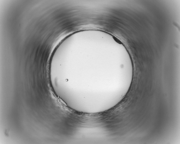 X0000102271008200808151900