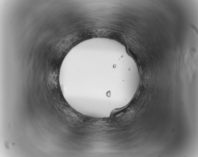 X0000102271010200808151859