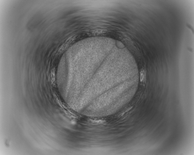 X0000102271011200808151859