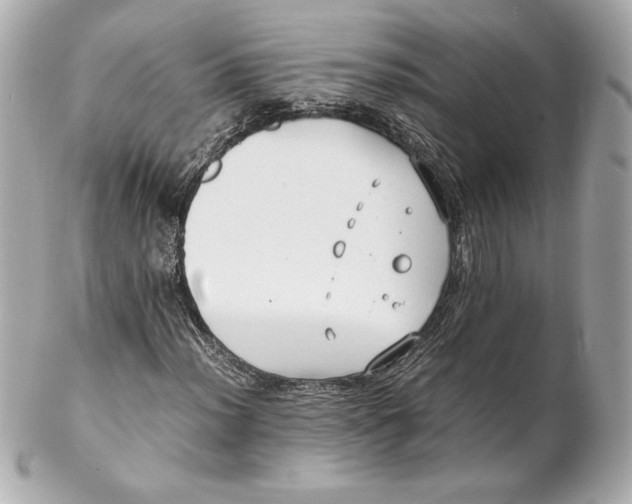 X0000102271012200808151859