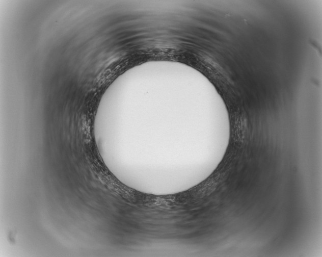 X0000102271013200808151859