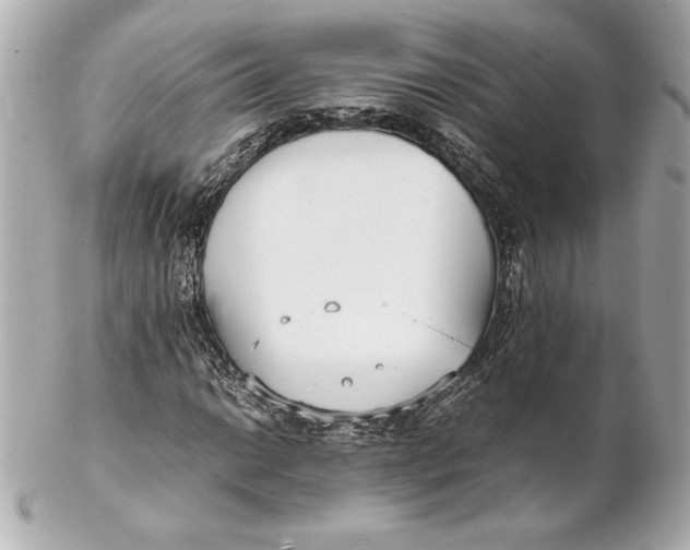 X0000102271014200808151859