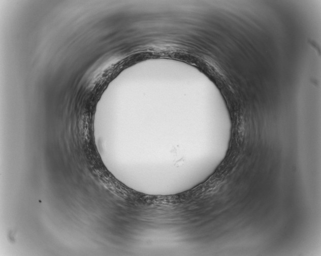 X0000102271016200808151859