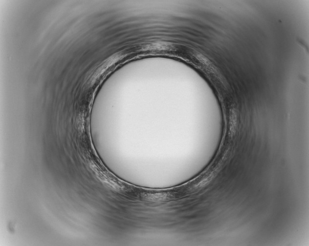 X0000102271017200808151859