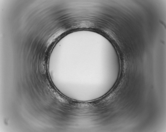 X0000102271018200808151859