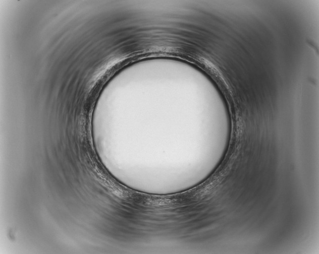 X0000102271019200808151859