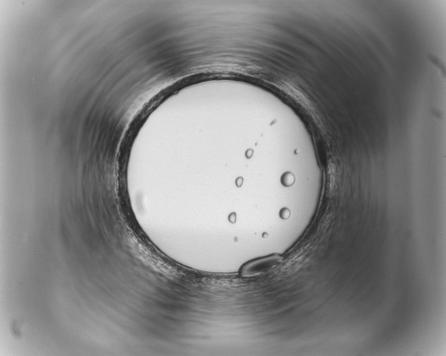 X0000102271020200808151859