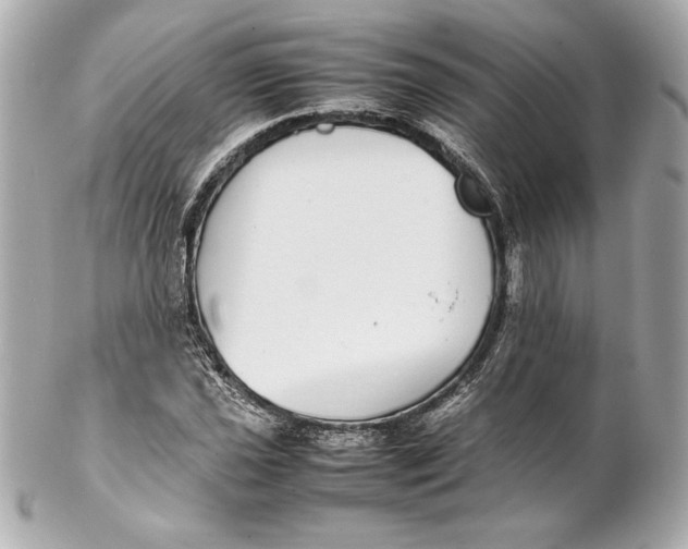 X0000102271021200808151859