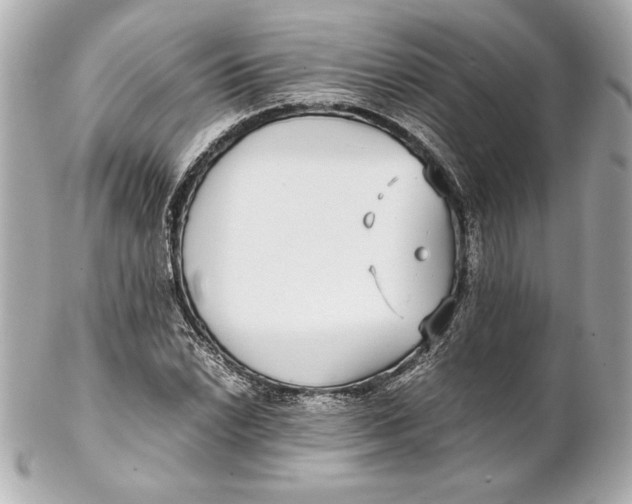 X0000102271022200808151859