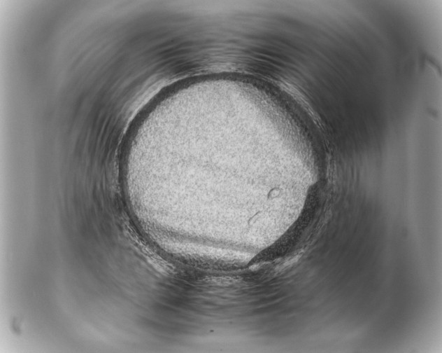 X0000102271023200808151859