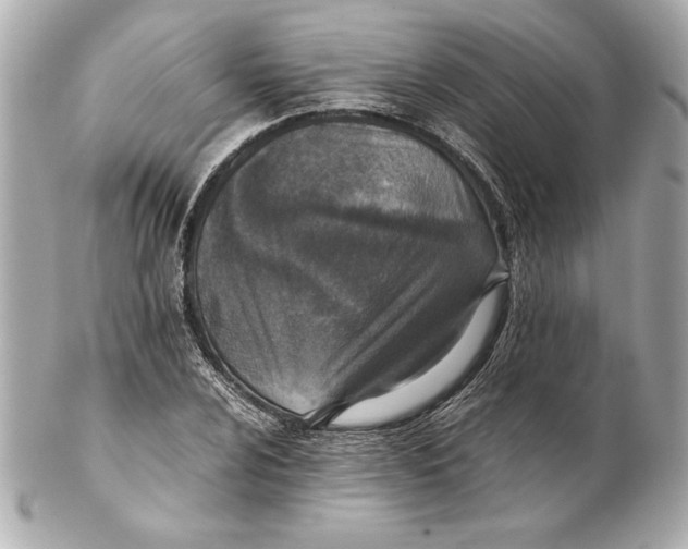 X0000102271024200808151859