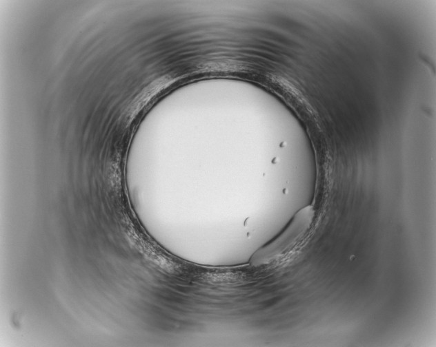 X0000102271025200808151859