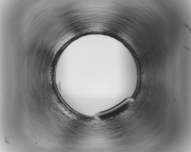 X0000102271026200808151859