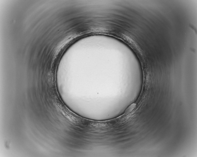 X0000102271027200808151859