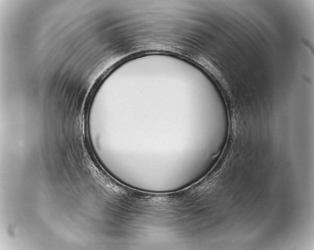 X0000102271028200808151859