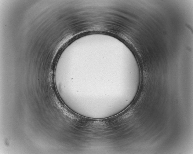 X0000102271029200808151859