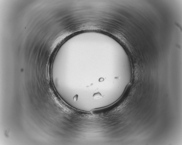 X0000102271030200808151859