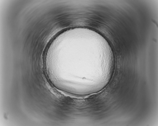 X0000102271031200808151859