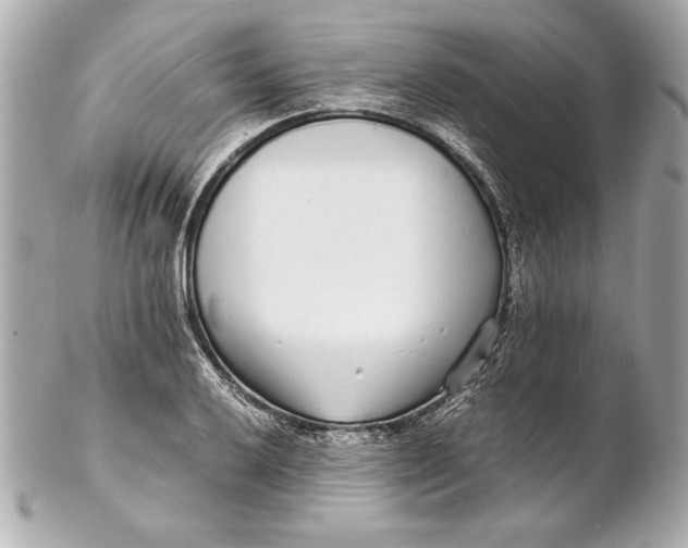 X0000102271032200808151859