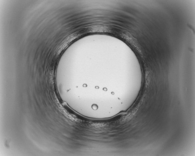 X0000102271033200808151859