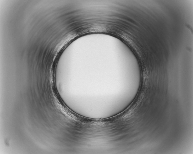 X0000102271034200808151859