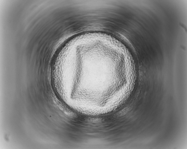 X0000102271035200808151859