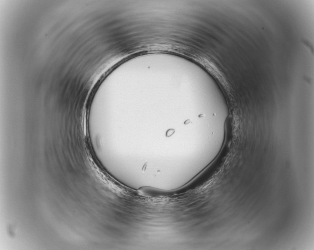 X0000102271036200808151859