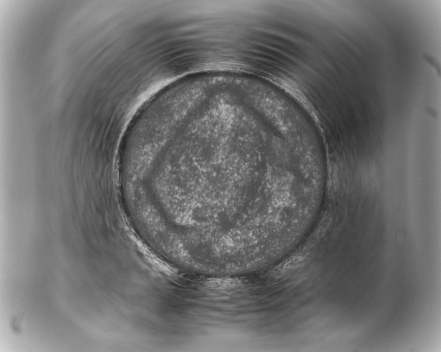 X0000102271037200808151859