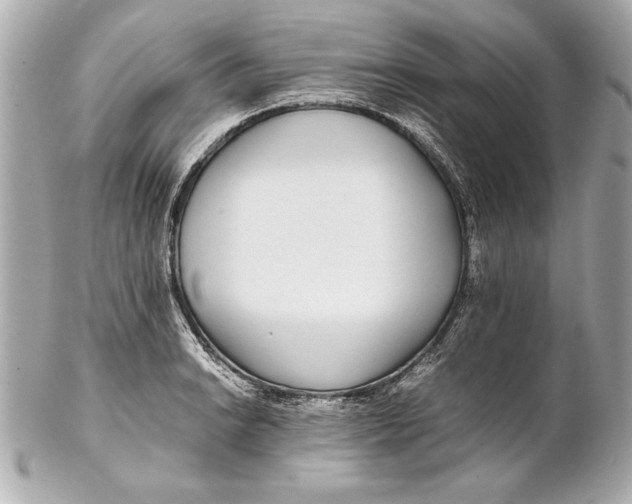 X0000102271038200808151859