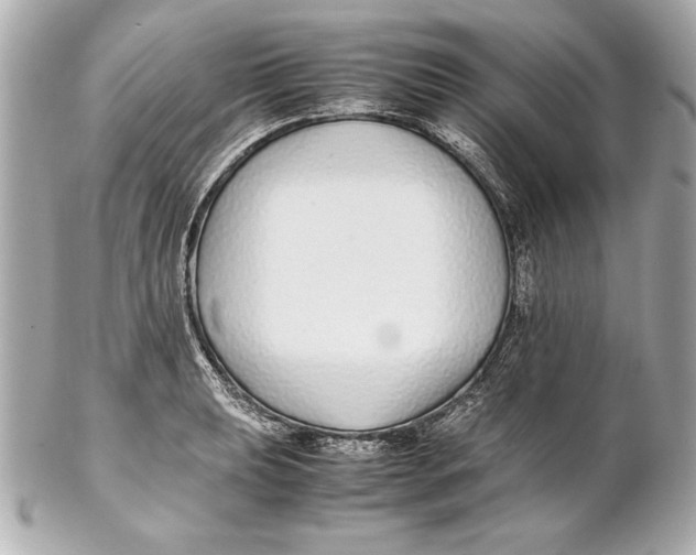 X0000102271039200808151859