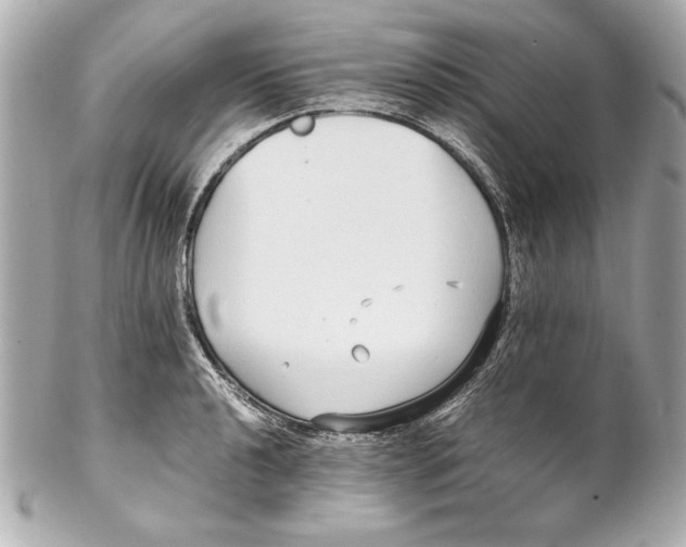 X0000102271040200808151859