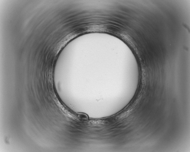 X0000102271041200808151859