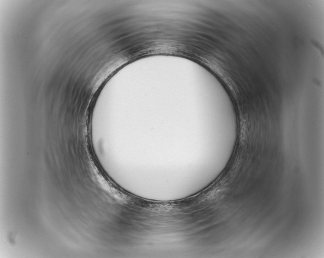 X0000102271042200808151859