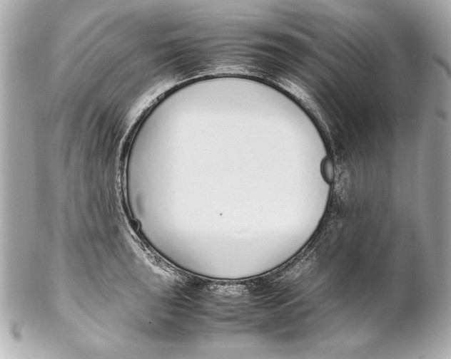 X0000102271043200808151859