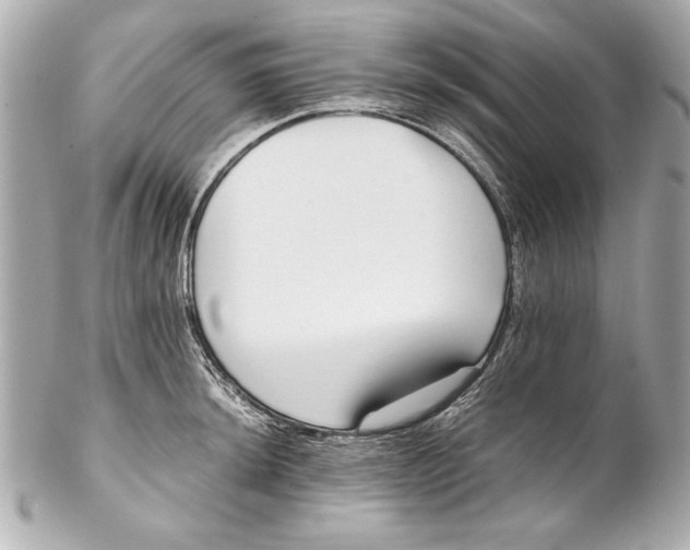 X0000102271044200808151859