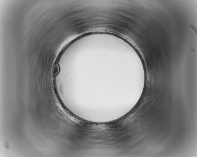 X0000102271045200808151859