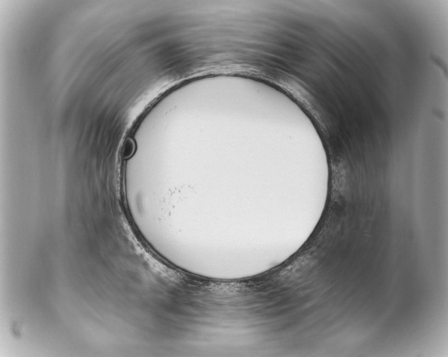 X0000102271046200808151859