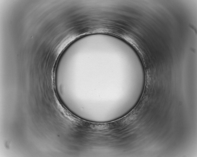 X0000102271047200808151900