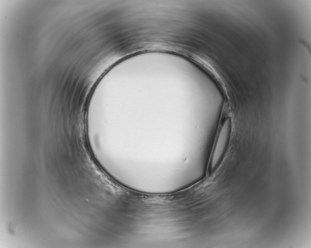 X0000102271048200808151900