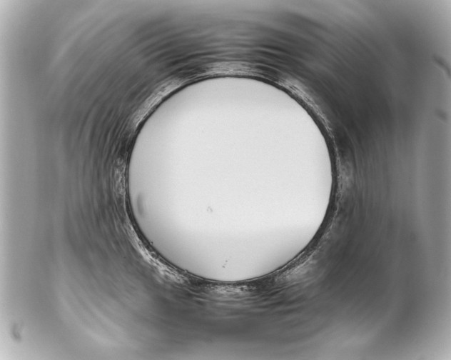 X0000102271049200808151900