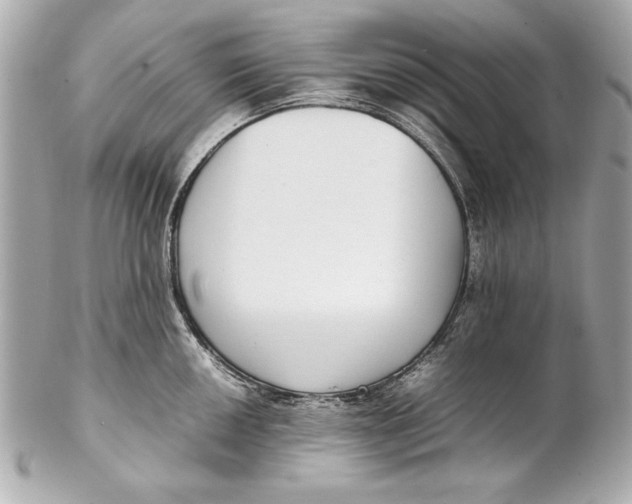 X0000102271050200808151900