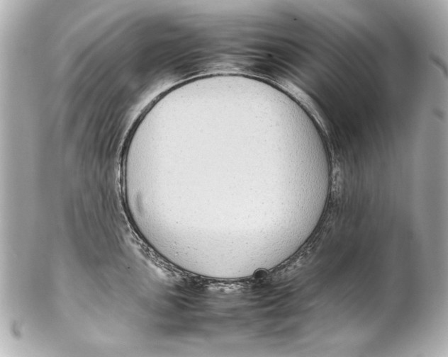 X0000102271051200808151900