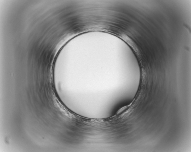 X0000102271052200808151900