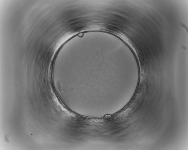 X0000102271053200808151900