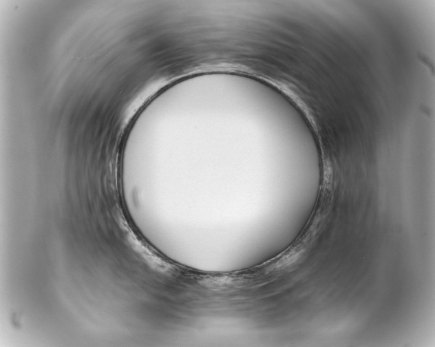 X0000102271054200808151900