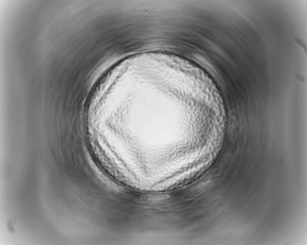 X0000102271055200808151900