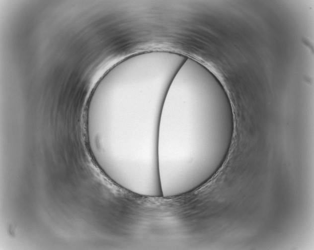 X0000102271056200808151900