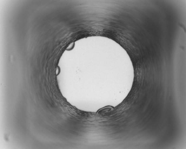 X0000102271057200808151859